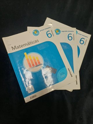 Matemáticas, 6 Primaria Saber Hacer Contigo