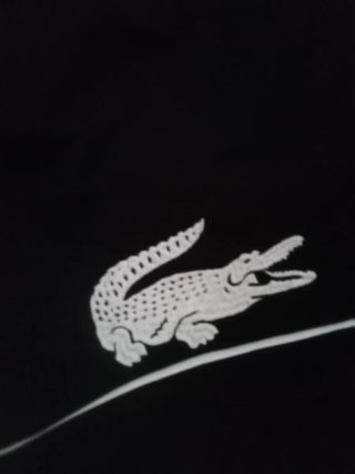 Conjunto Lacoste Camiseta y Pantalón Corto