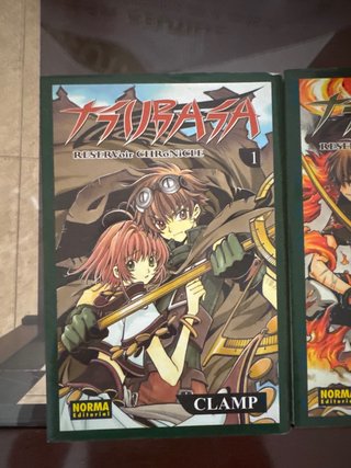 Manga tsubasa reservoir chronicle