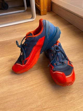 Zapatillas Dynafit Trail Running Ultra 50