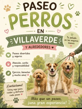 Paseos para perros