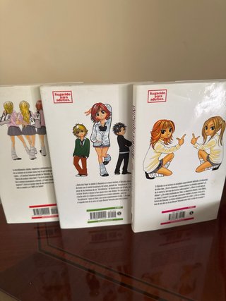 Manga instituto bijinzaka