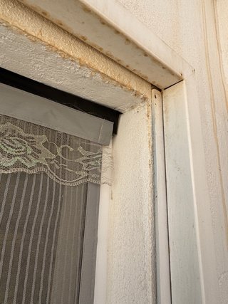 Puerta de hierro con reja y marco