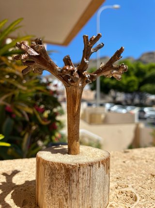 Regalo para decorar