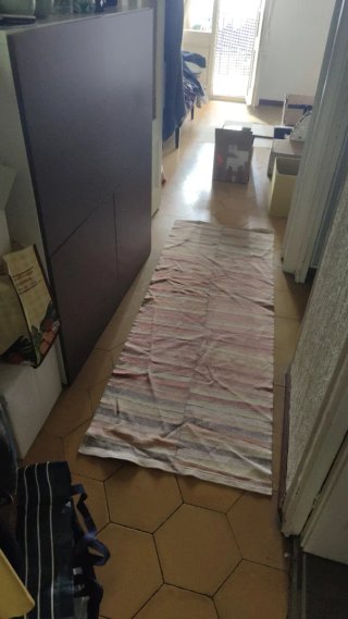 Tappeto da corridoio o soggiorno molto resistente