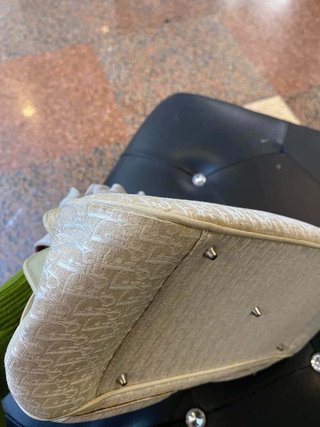 The Dior Trotter Saddle CD Bag