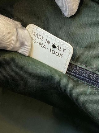 The Dior Trotter Saddle CD Bag