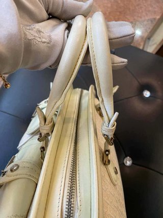The Dior Trotter Saddle CD Bag