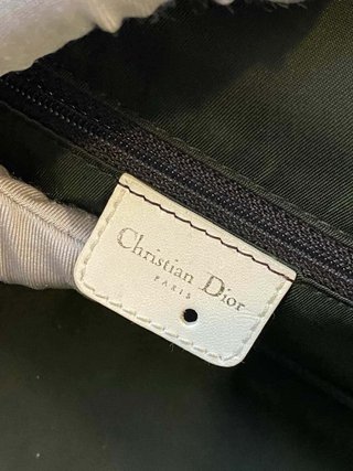 The Dior Trotter Saddle CD Bag