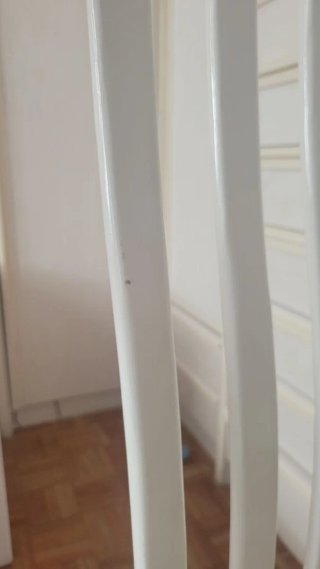 Sillas comedor blancas tapizadas