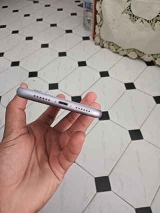 iPhone 11 Viola