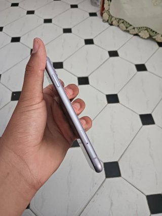 iPhone 11 Viola