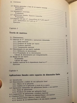 Álgebra lineal para la economía