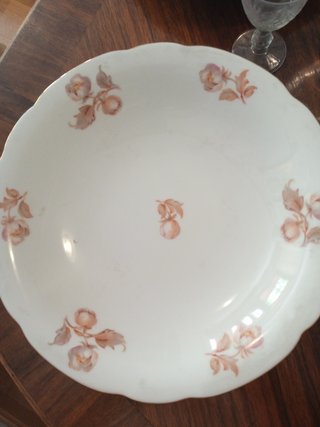 Chollo vajilla antigua de porcelana checa