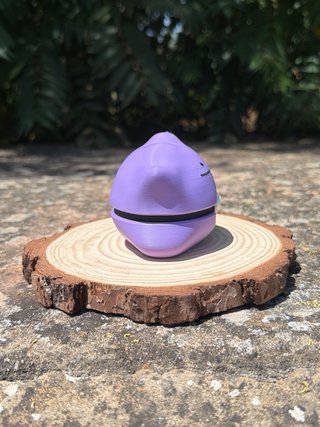 Pokeball Ditto