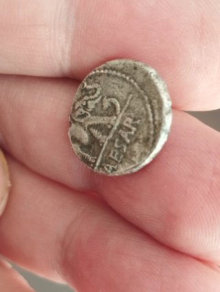 Moneda Julio César Elefante