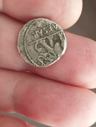 Moneda Julio César Elefante