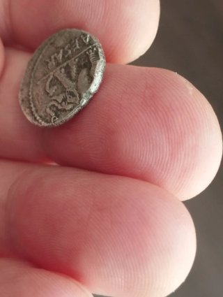 Moneda Julio César Elefante