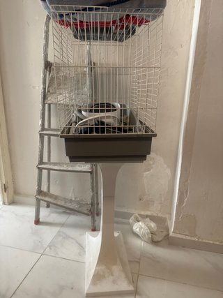 Jaula loro con pie moderna blanca