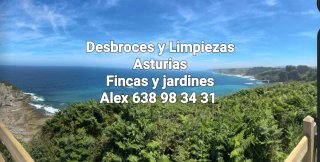 Asturias desbroces y limpiezas de fincas  jardines
