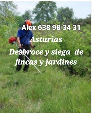 Asturias desbroces y limpiezas de fincas  jardines