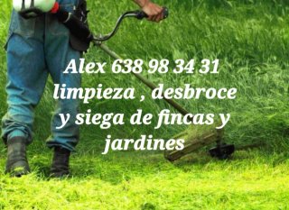 Asturias desbroces y limpiezas de fincas  jardines