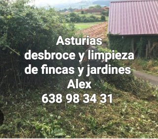 Asturias desbroces y limpiezas de fincas  jardines