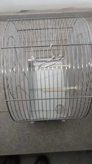 Jaula grande para pájaros medianos