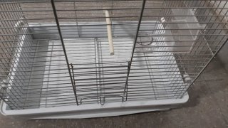 Jaula grande para pájaros medianos