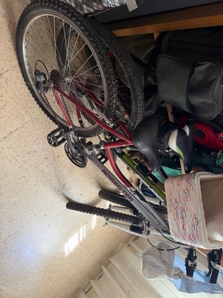 Bicicleta de montaña