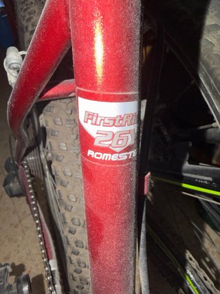 Bicicleta de montaña