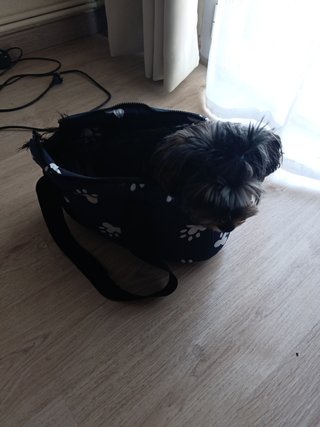 Bolsa de hombro /Transportin
