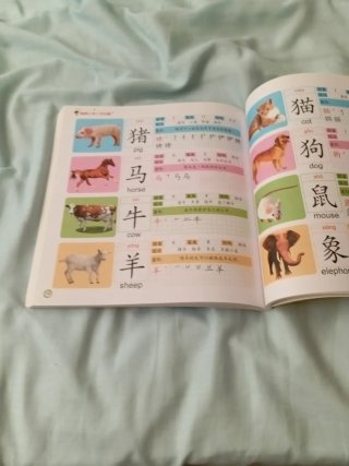 Libro de vocabulario chino