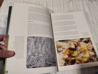Libro Algas calcáreas del PN de Cabo de Gata