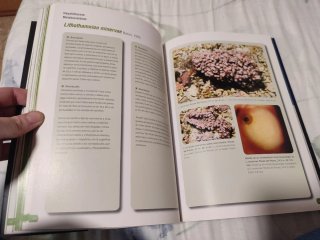 Libro Algas calcáreas del PN de Cabo de Gata