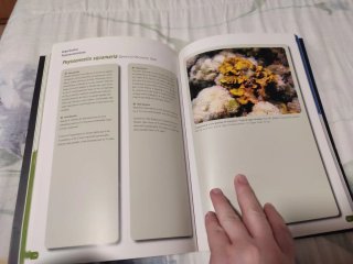 Libro Algas calcáreas del PN de Cabo de Gata