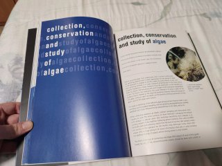 Libro Algas calcáreas del PN de Cabo de Gata