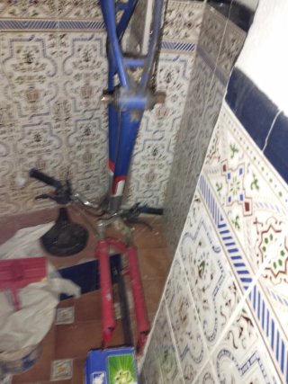 Bicicleta y esqueleto