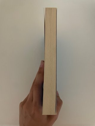 Bajo la misma estrella
