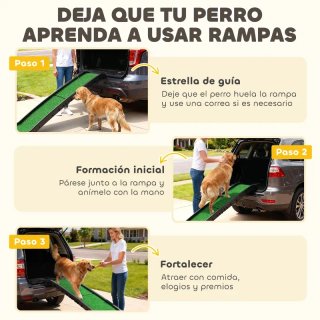 Rampa para Perros Césped Artificial
