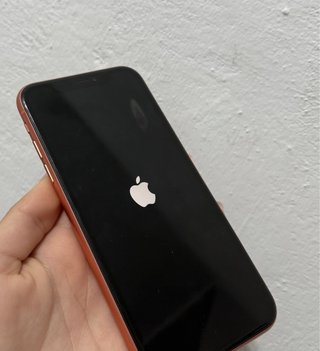 iPhone XR con 5 fundas