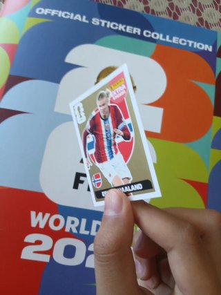 Carta Mundial  Erling Haaland Extra