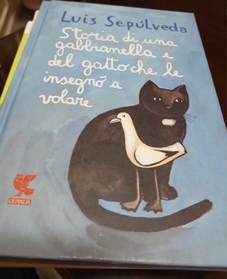 6 Libri letture per RAGAZZI in lotto o coppia