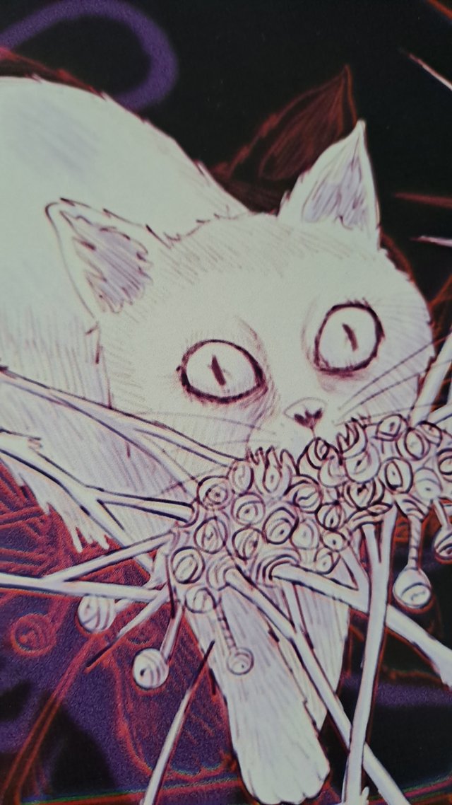 Print Junji Ito Cat