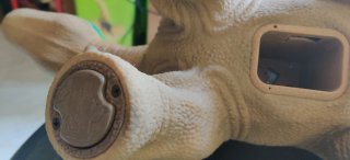 PLEO RB Dinosauro Robot