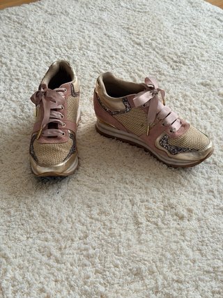 Deportivas doradas y rosas