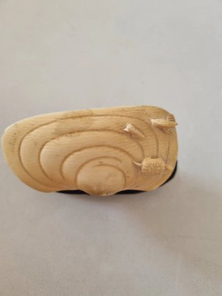 Talla miniatura figura mujer en concha