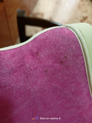 Polacchine Panchic donna rosa glitter