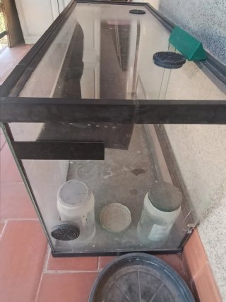 Terrario de cristal para reptiles