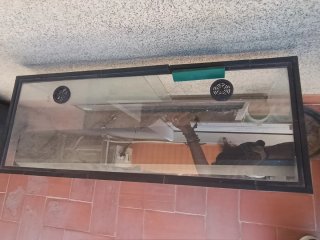 Terrario de cristal para reptiles
